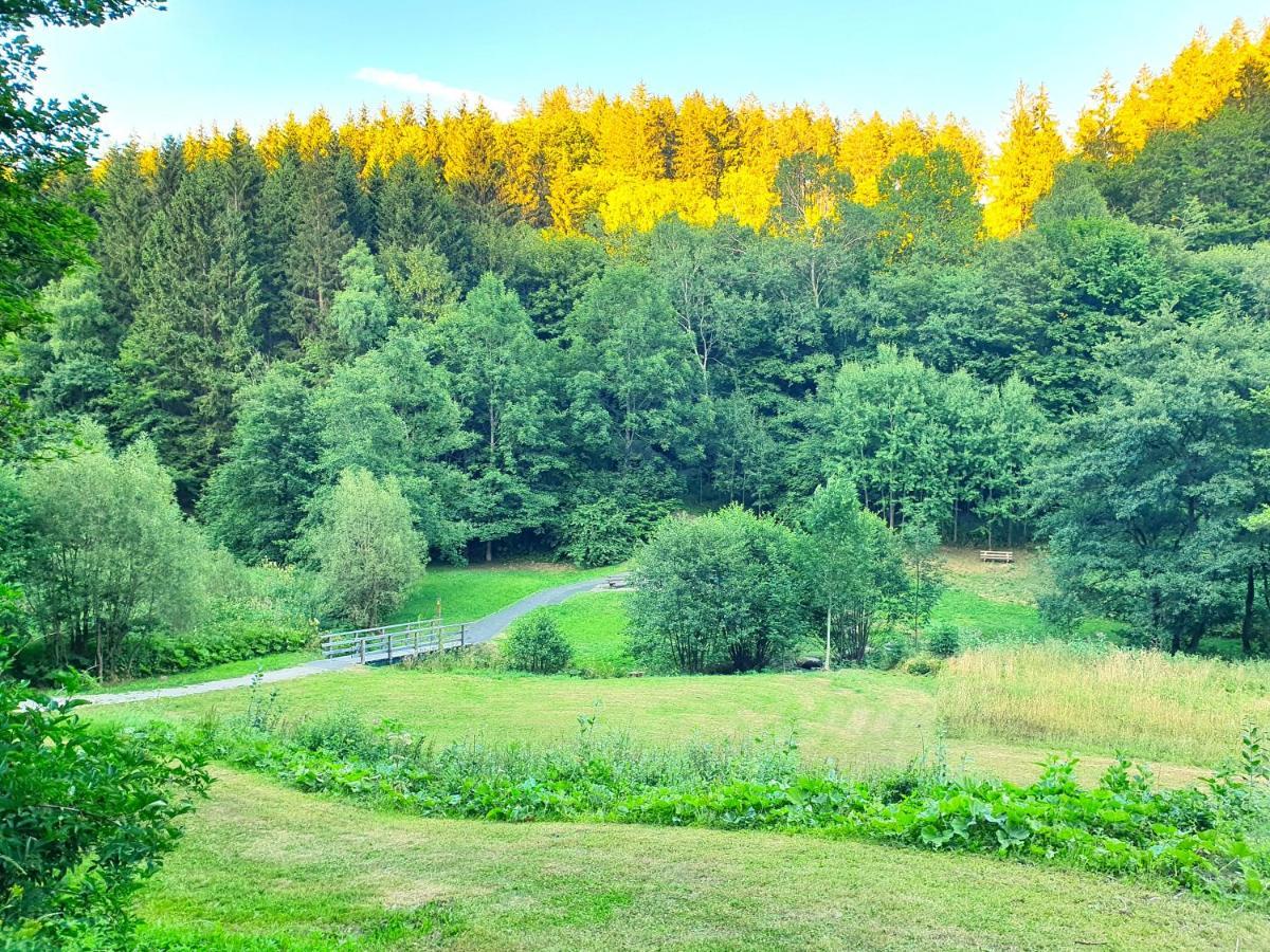 Ferienhaus Grimme - 350M2, 18 Betten - Mit Indoorspielplatz, Pool, Grosser Terrasse, Grill, Sauna, Kicker, Dart, Uvm - Ideal Fuer Familien Шмалленберг Экстерьер фото