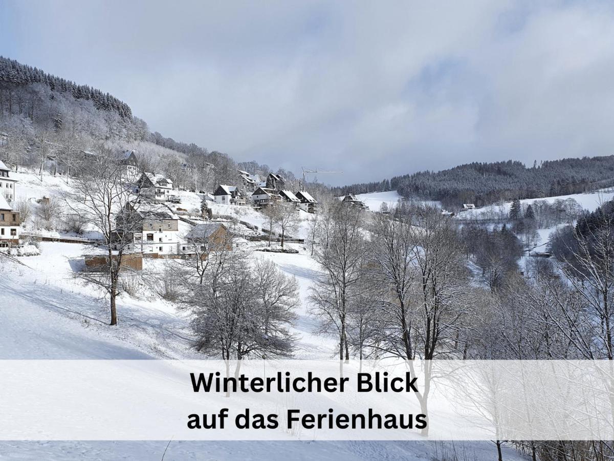 Ferienhaus Grimme - 350M2, 18 Betten - Mit Indoorspielplatz, Pool, Grosser Terrasse, Grill, Sauna, Kicker, Dart, Uvm - Ideal Fuer Familien Шмалленберг Экстерьер фото
