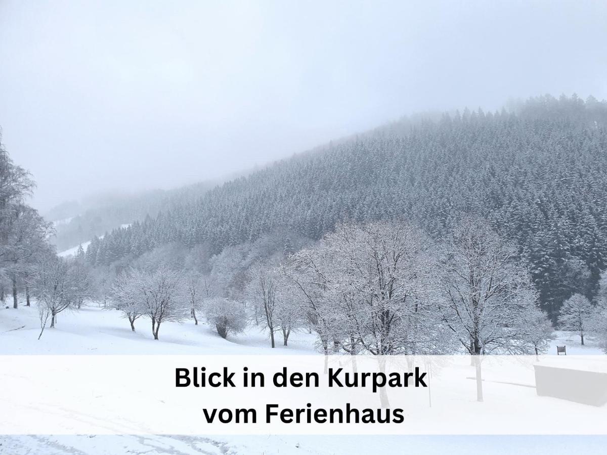 Ferienhaus Grimme - 350M2, 18 Betten - Mit Indoorspielplatz, Pool, Grosser Terrasse, Grill, Sauna, Kicker, Dart, Uvm - Ideal Fuer Familien Шмалленберг Экстерьер фото