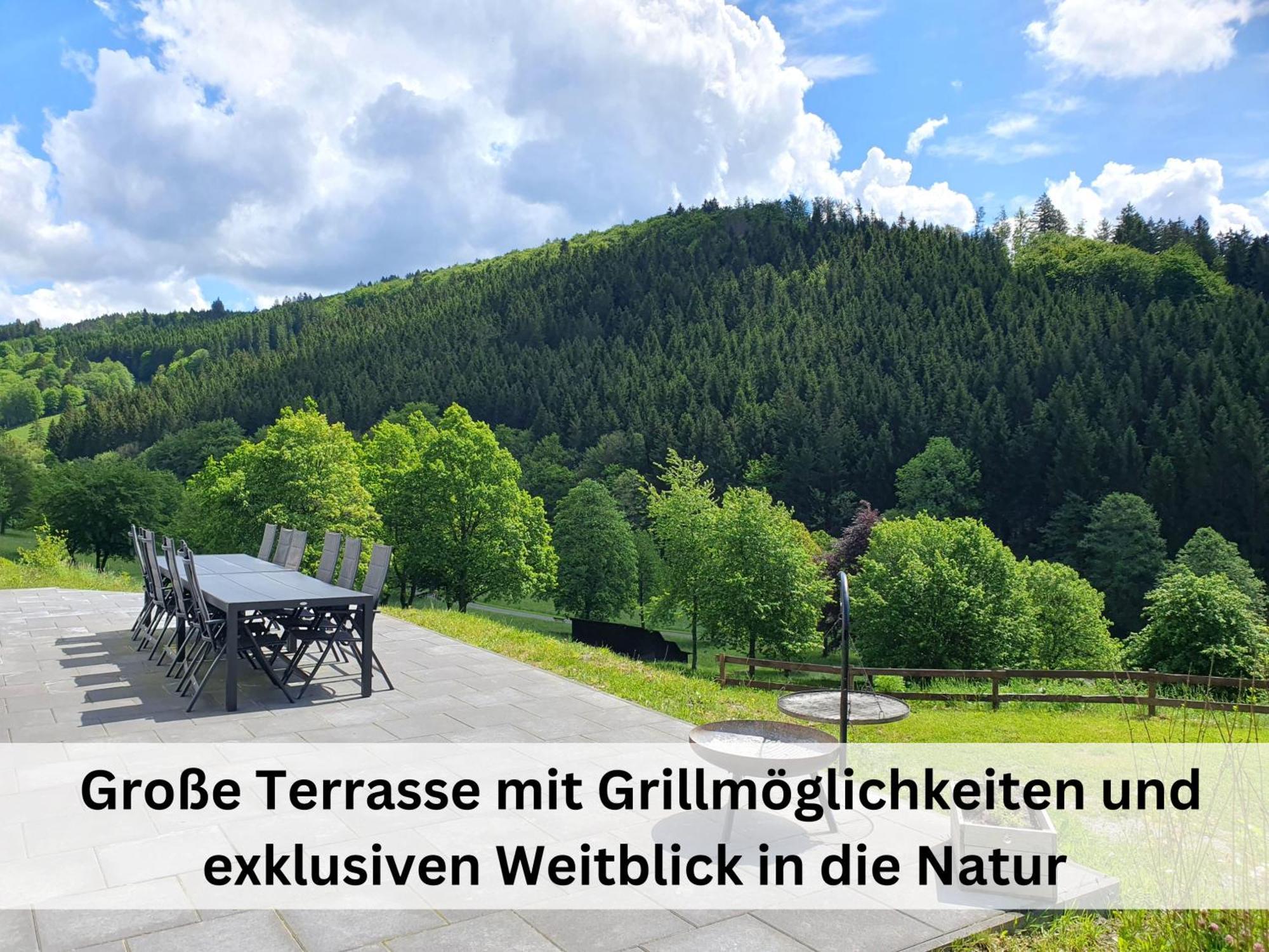 Ferienhaus Grimme - 350M2, 18 Betten - Mit Indoorspielplatz, Pool, Grosser Terrasse, Grill, Sauna, Kicker, Dart, Uvm - Ideal Fuer Familien Шмалленберг Экстерьер фото