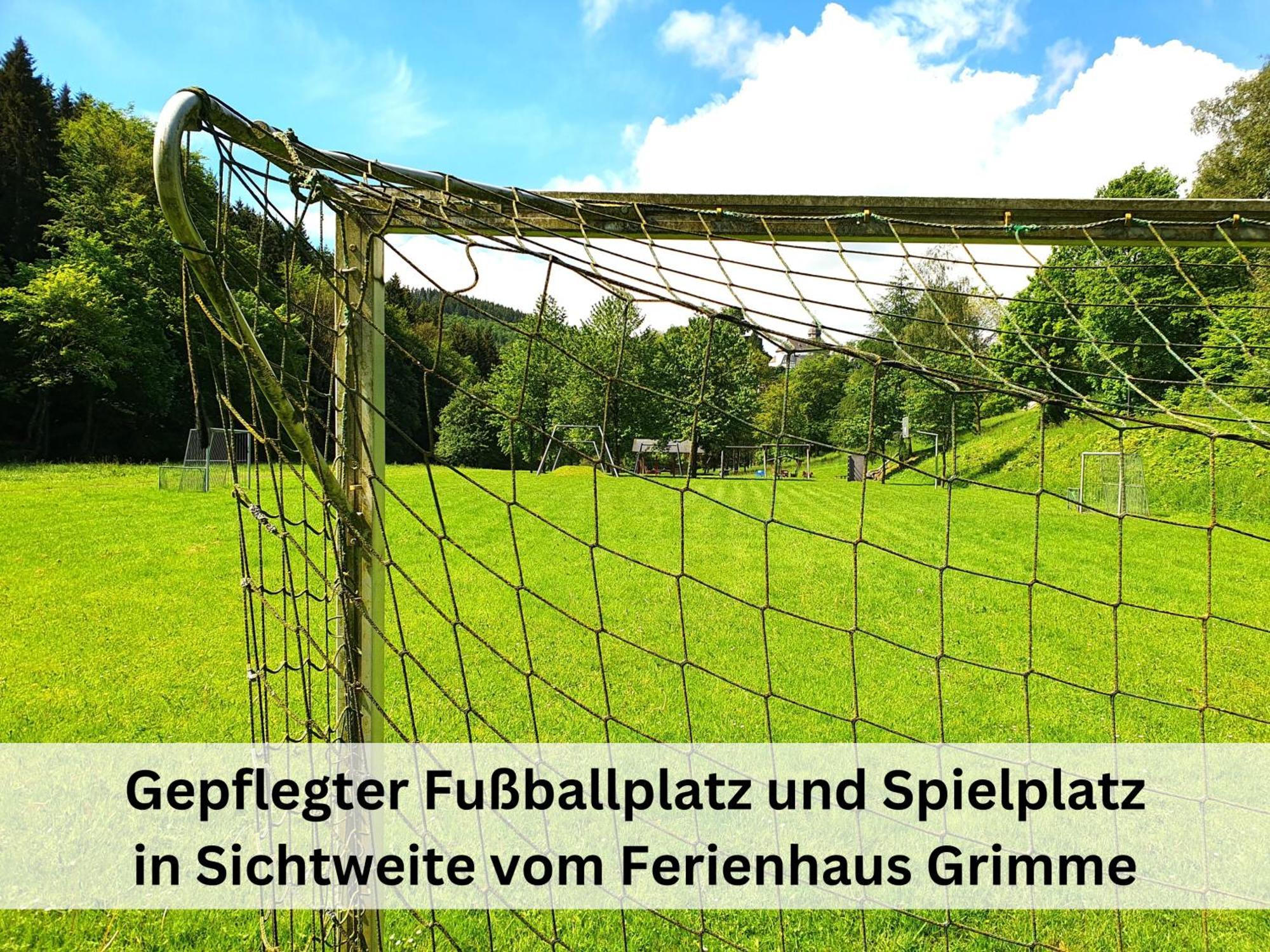Ferienhaus Grimme - 350M2, 18 Betten - Mit Indoorspielplatz, Pool, Grosser Terrasse, Grill, Sauna, Kicker, Dart, Uvm - Ideal Fuer Familien Шмалленберг Экстерьер фото