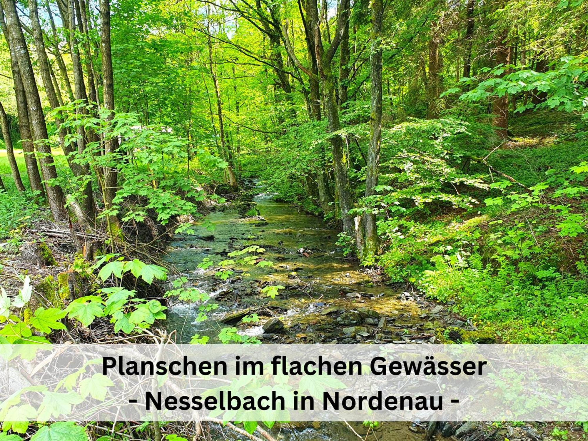 Ferienhaus Grimme - 350M2, 18 Betten - Mit Indoorspielplatz, Pool, Grosser Terrasse, Grill, Sauna, Kicker, Dart, Uvm - Ideal Fuer Familien Шмалленберг Экстерьер фото